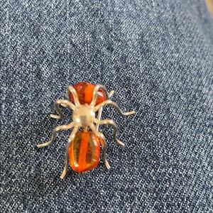 Source Unknown Silver and Amber Brooch